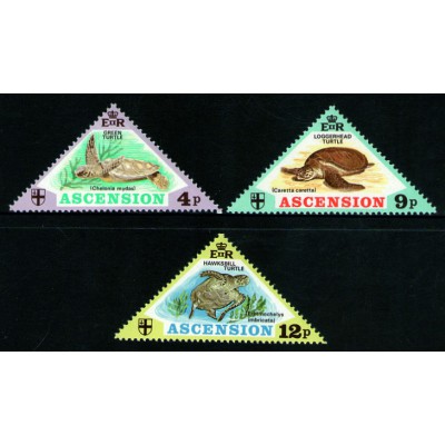 Tortugas Marinas